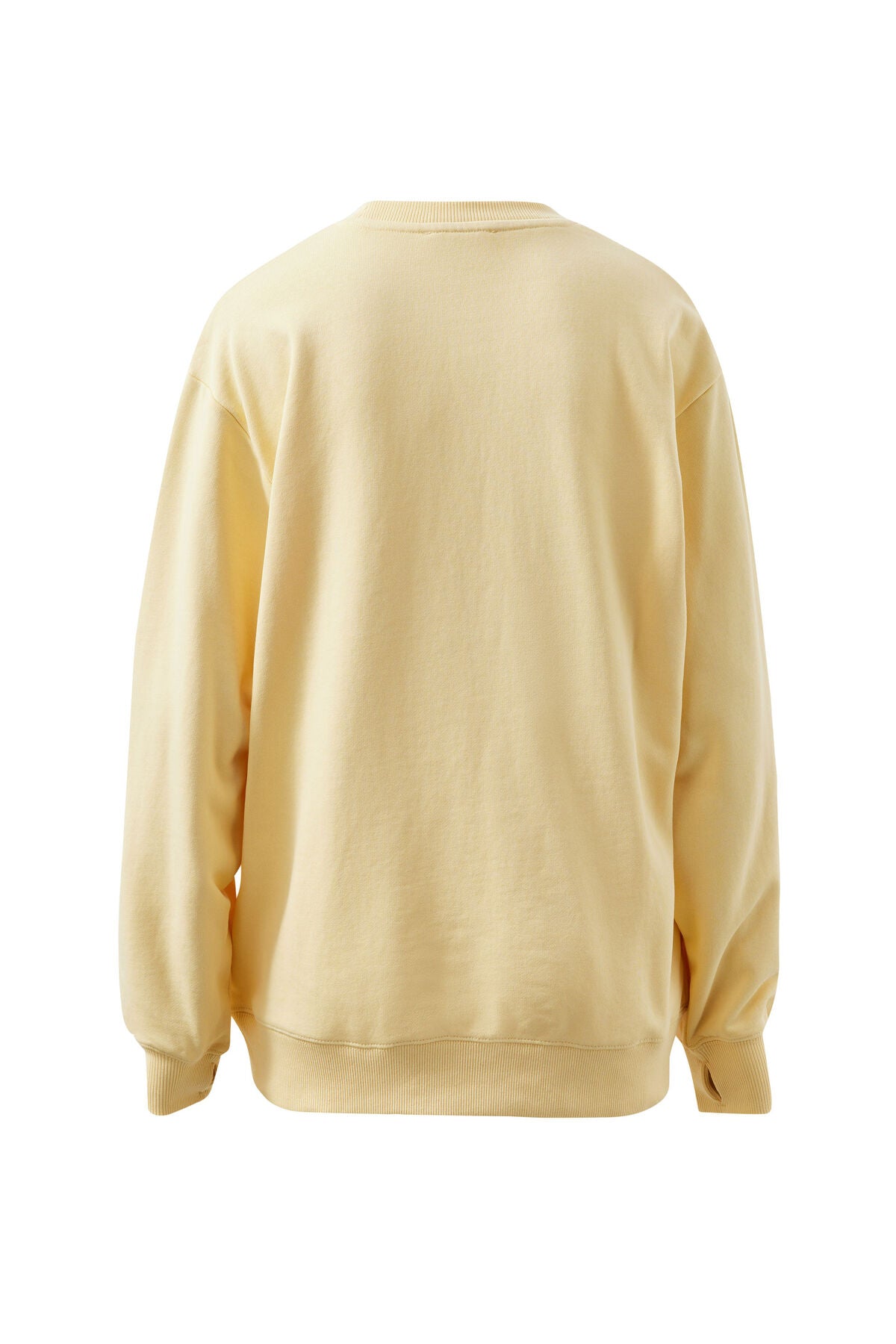 Image of Ceres Beige sweatshirt on a white background