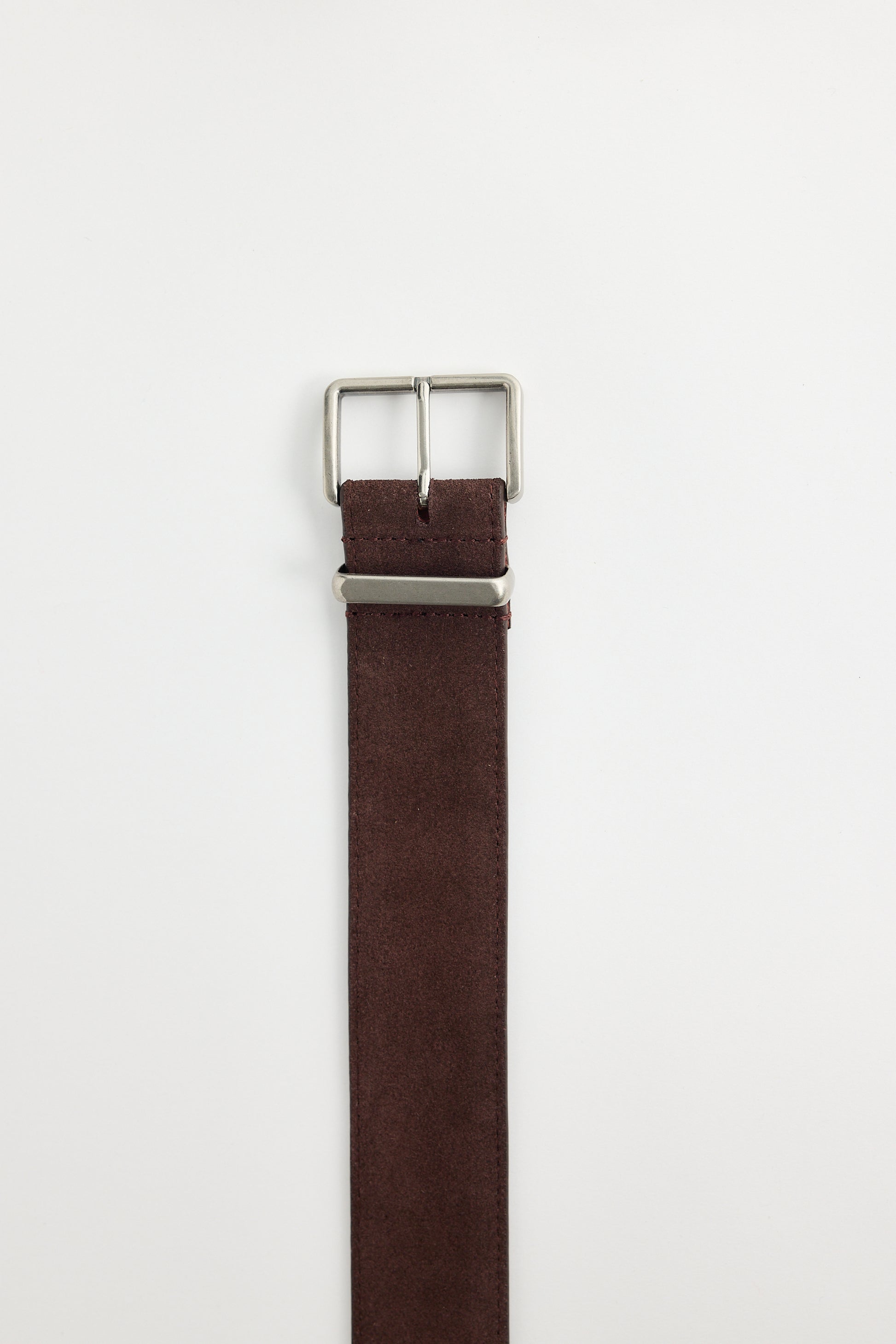 Holiday Life Brown belt with silver buckle on a white background