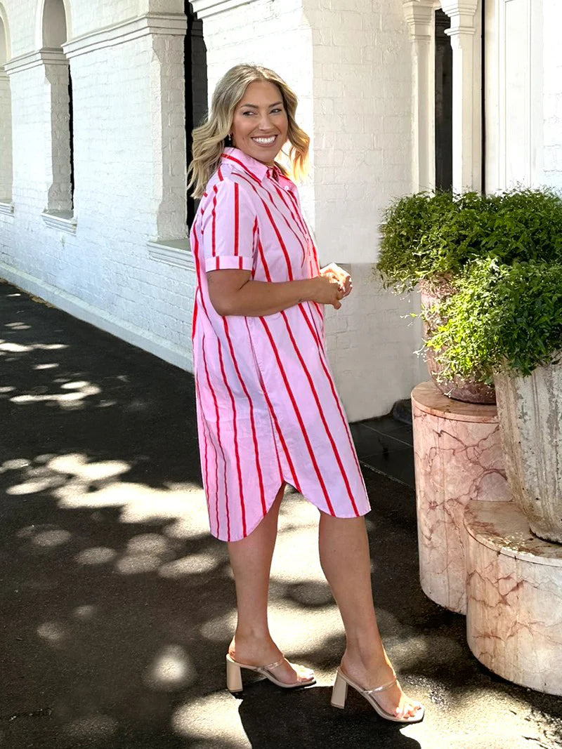 Leoni Karina Dress - Pink