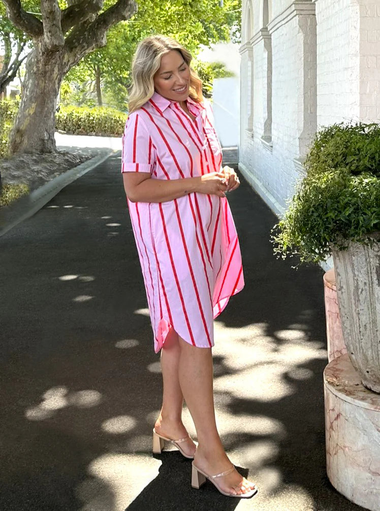 Leoni Karina Dress - Pink
