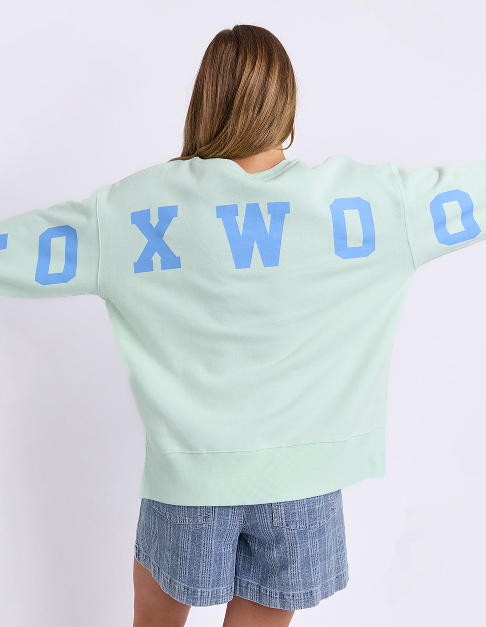 Foxwood Interval Crew Jumper - Mint with Blue